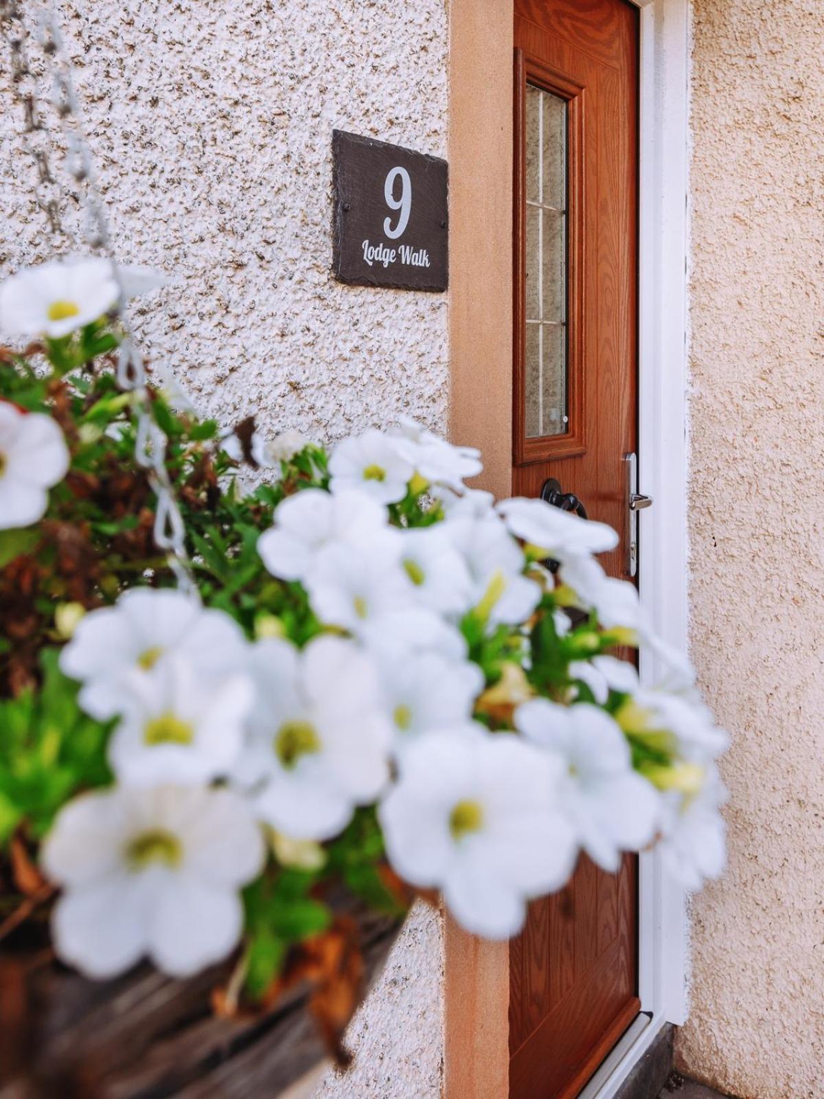 9 Lodge Walk, Elie Exterior foto